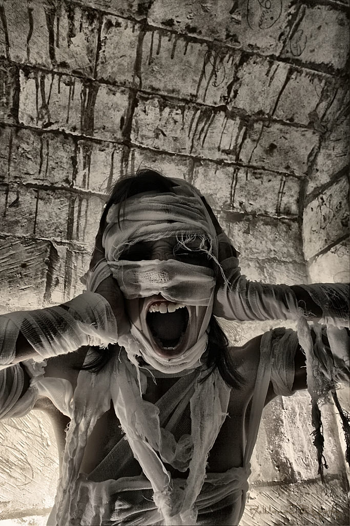 IMG 5093 2 4756484317